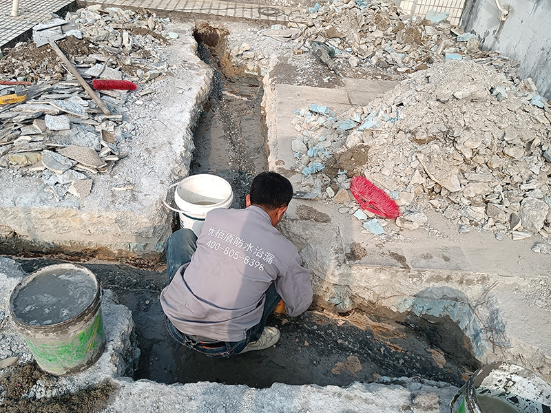 微信圖片_20250303113249 拷貝.jpg