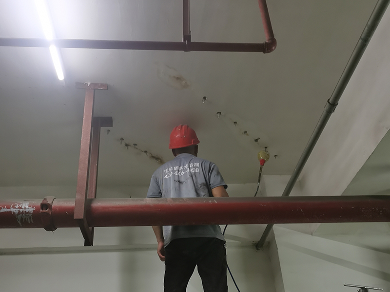 微信圖片_20241210151601 拷貝.jpg